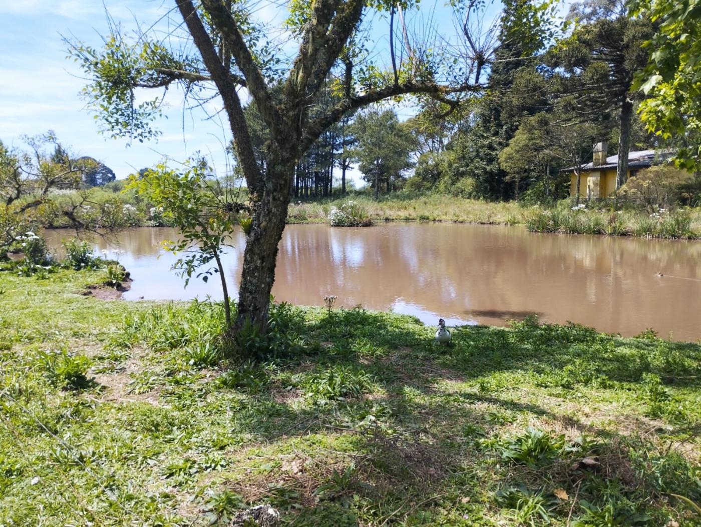 Terreno à venda, 362m² - Foto 5