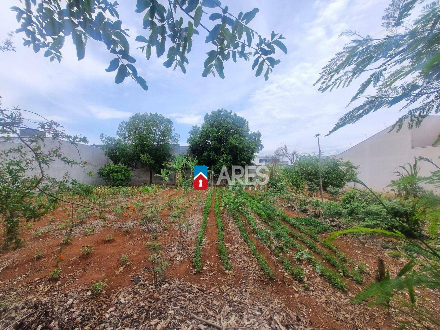 Terreno, 250 m² - Foto 4