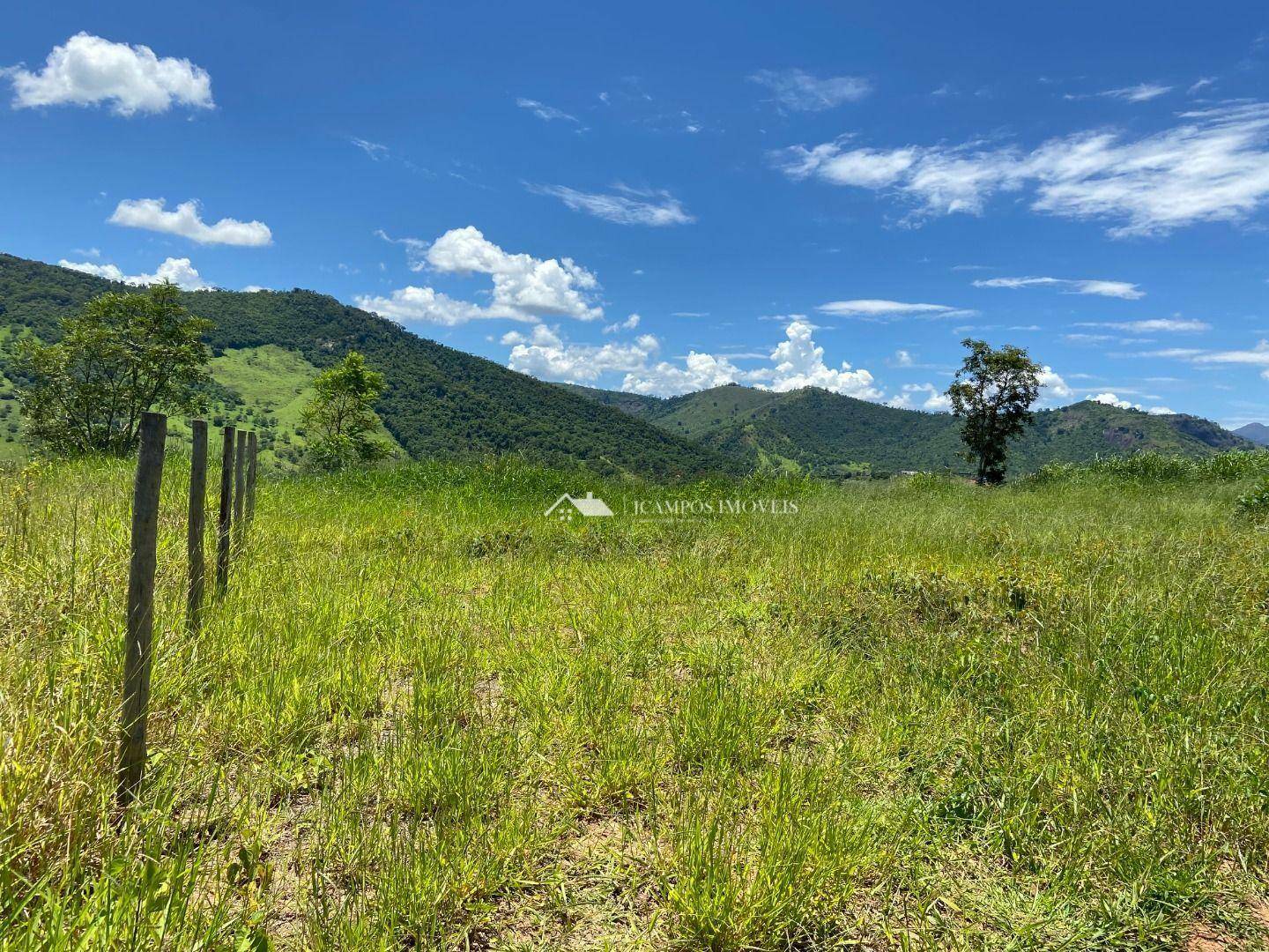 Terreno à venda, 5000M2 - Foto 4