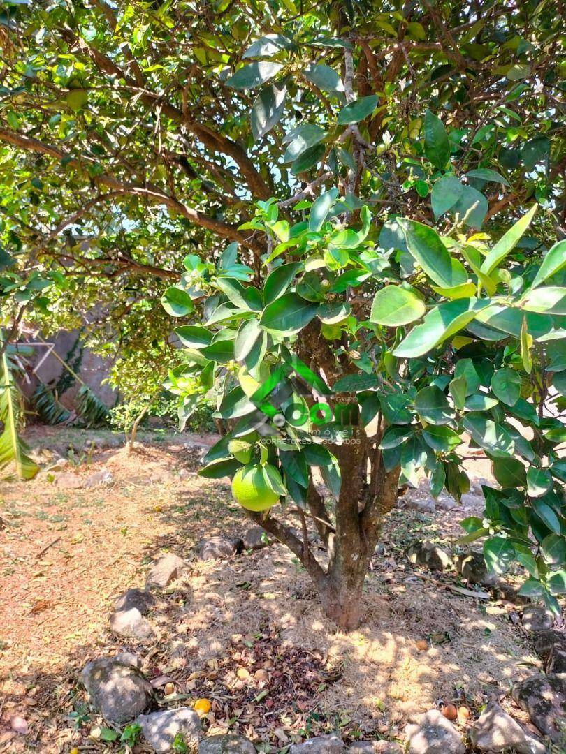 Terreno, 460 m² - Foto 3