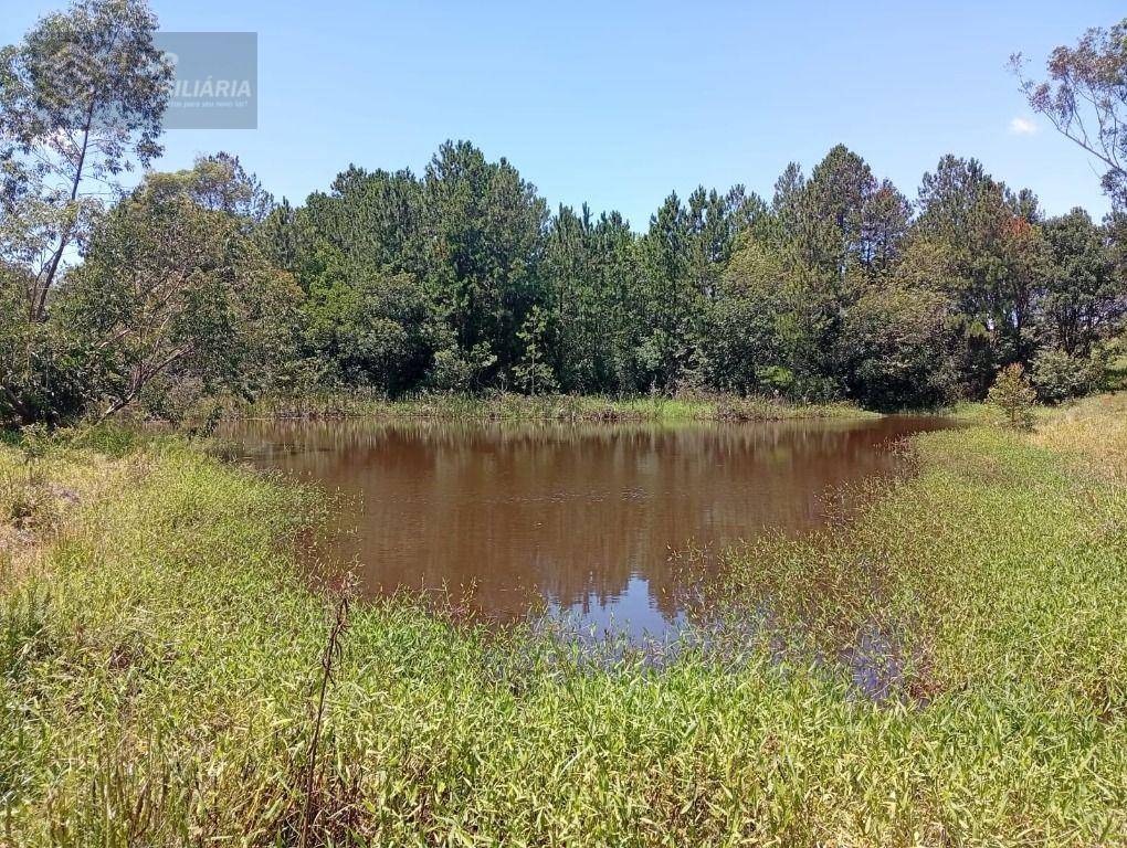 Terreno, 4 hectares - Foto 20