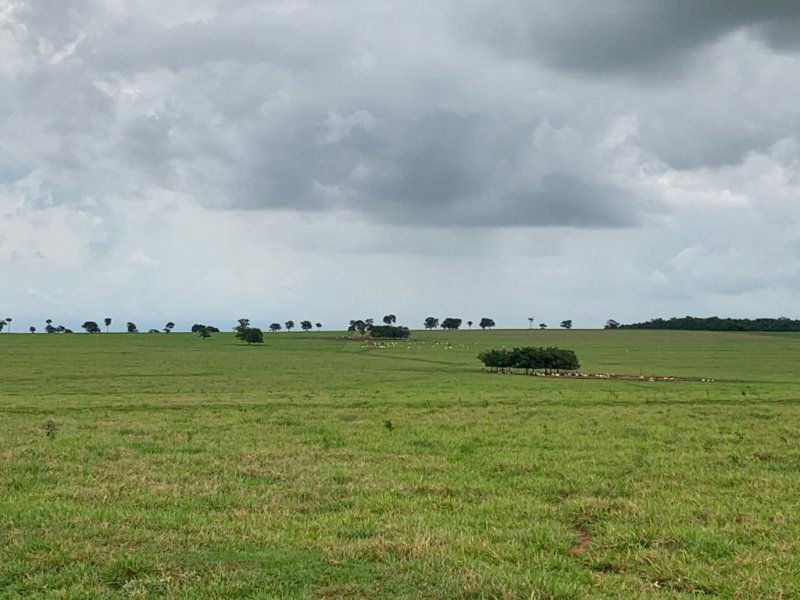 Fazenda à venda, 1007m² - Foto 1