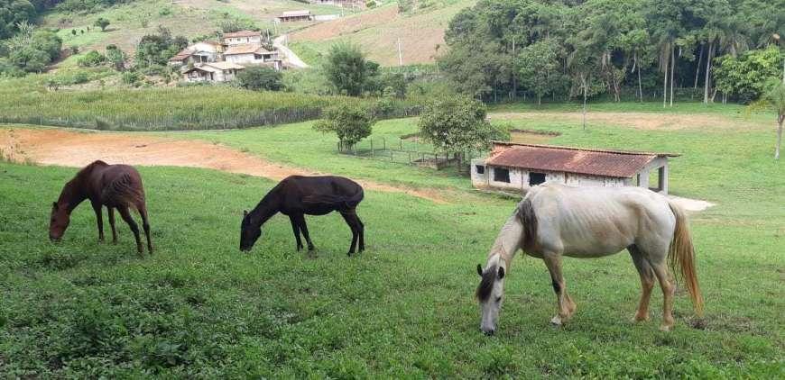 Chácara à venda com 7 quartos, 18000m² - Foto 34