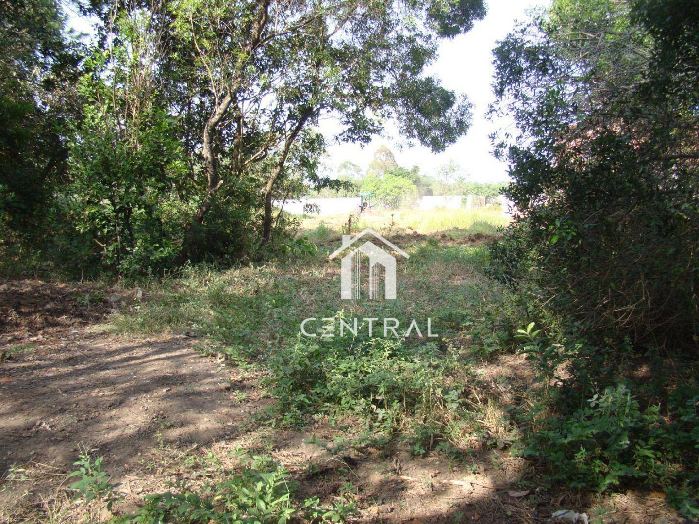 Chácara à venda com 3 quartos, 160m² - Foto 10