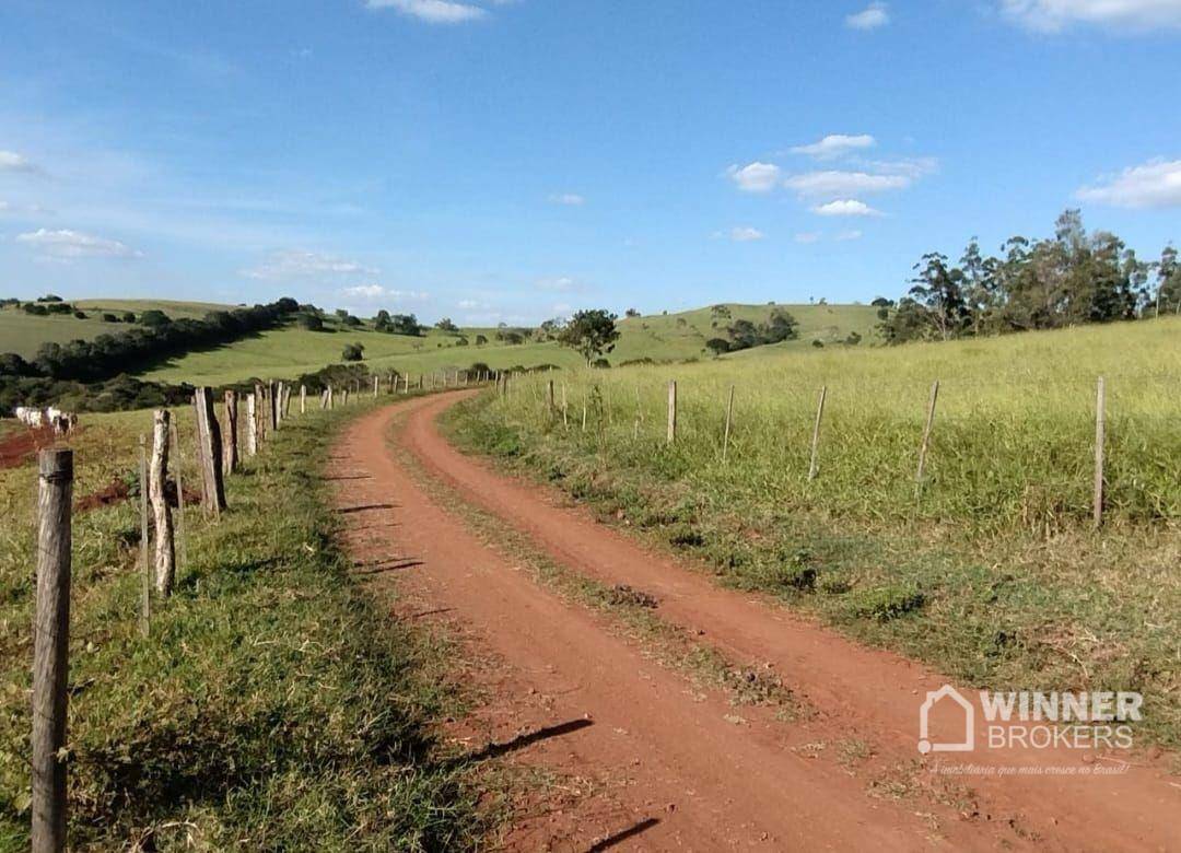 Fazenda à venda com 2 quartos, 2299000M2 - Foto 11