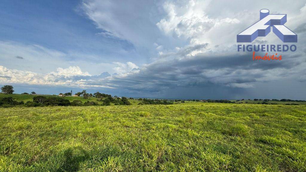 Terreno à venda, 257000M2 - Foto 7