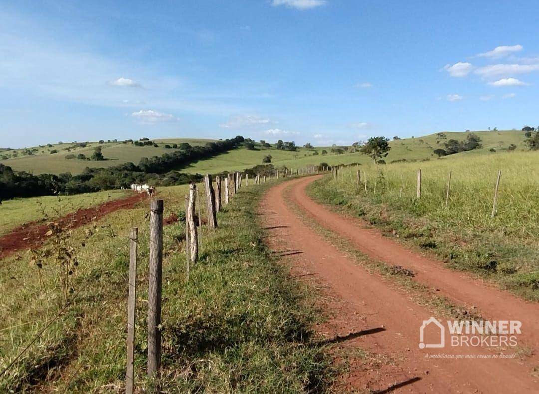 Fazenda à venda com 2 quartos, 2299000M2 - Foto 1