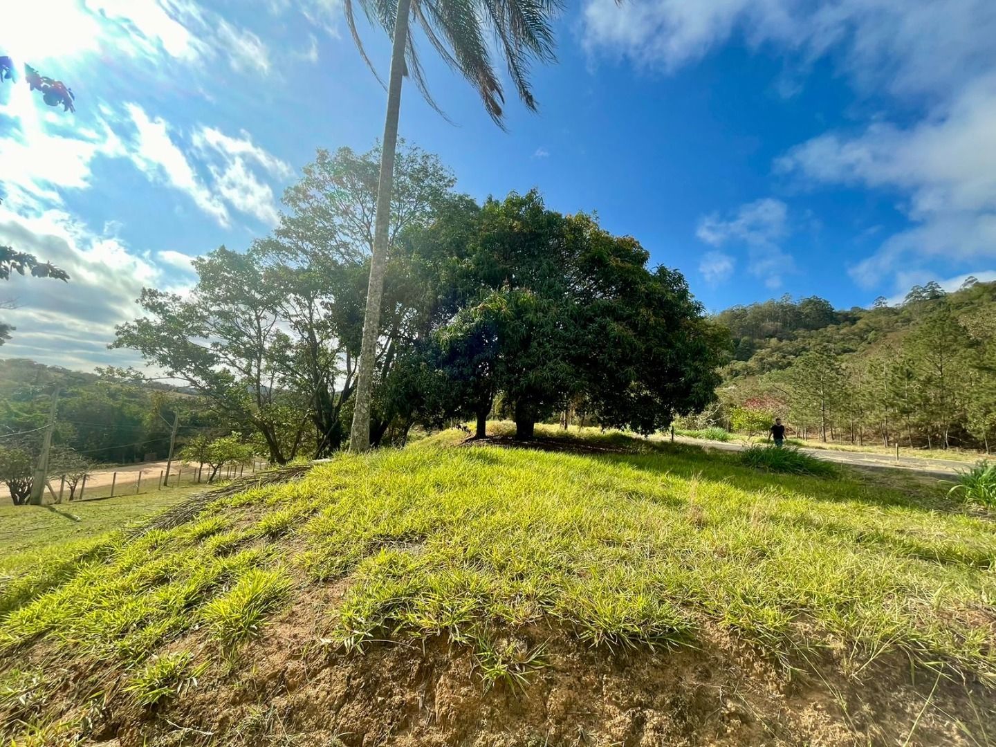 Loteamento e Condomínio à venda, 3545M2 - Foto 3