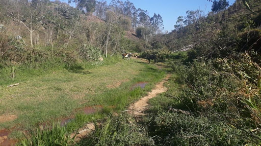 Terreno à venda, 144000M2 - Foto 4