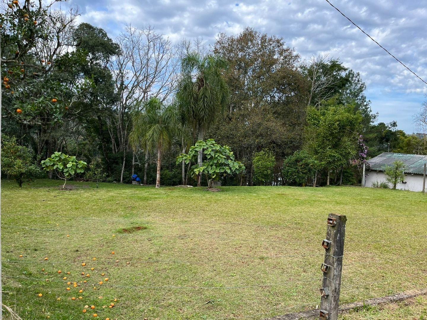 Fazenda à venda com 2 quartos, 2247m² - Foto 14