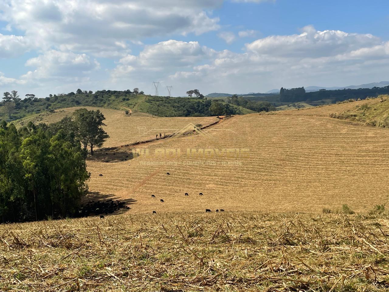 Fazenda à venda, 220m² - Foto 20