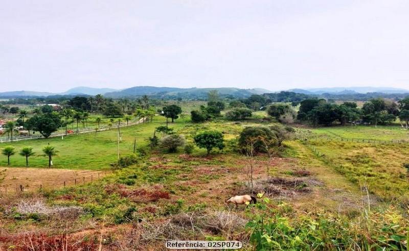 Fazenda à venda com 3 quartos, 41000m² - Foto 7