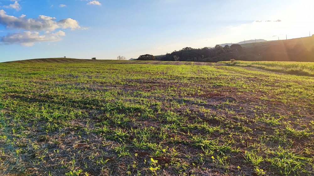 Fazenda à venda, 13m² - Foto 6