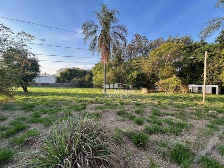 Chácara, 6 quartos, 3 hectares - Foto 10