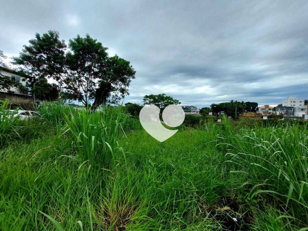 Terreno à venda, 360M2 - Foto 5