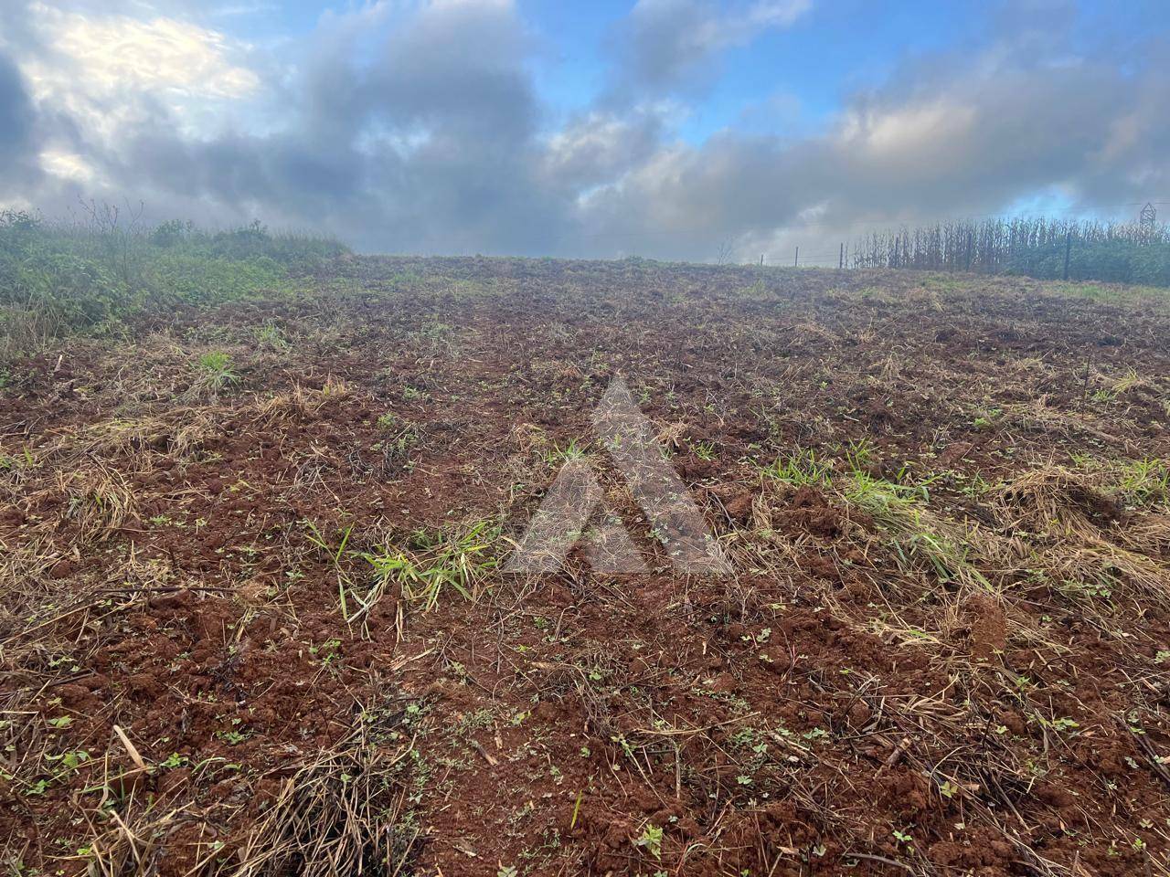 Terreno à venda, 3981M2 - Foto 3