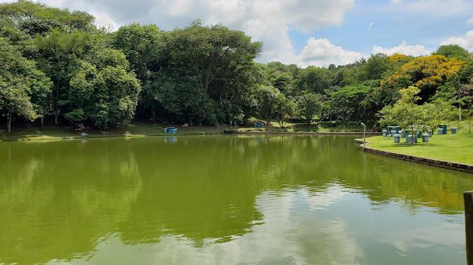 Fazenda à venda com 3 quartos, 360m² - Foto 33