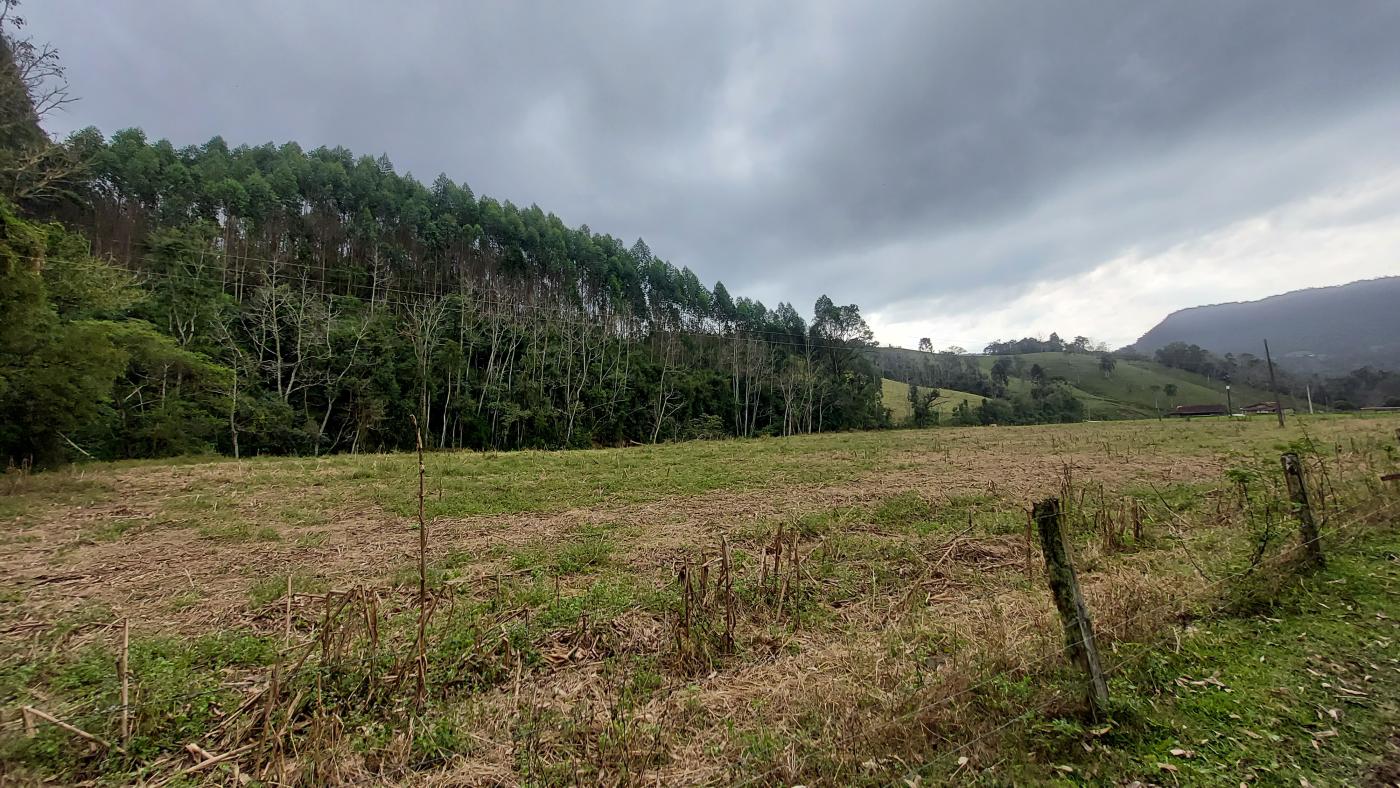 Fazenda à venda, 100000m² - Foto 1