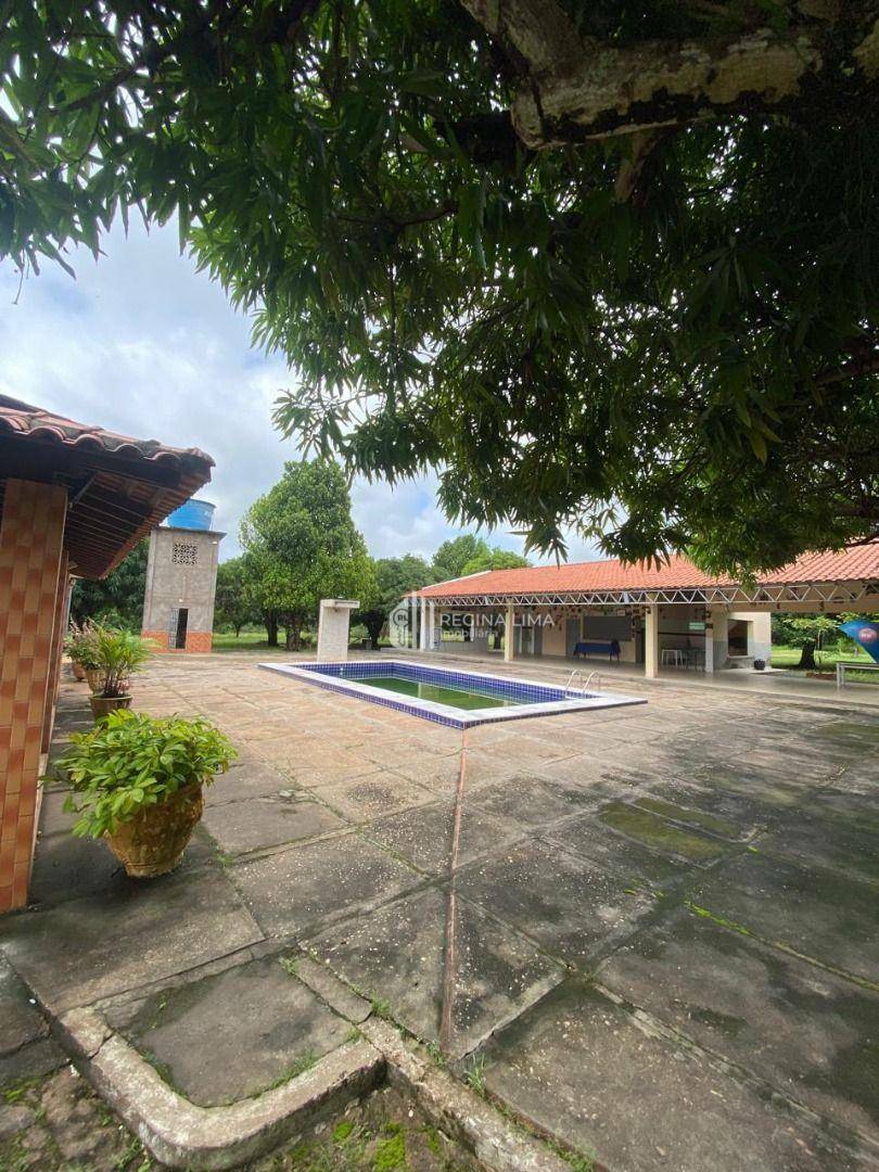 Sítio à venda com 4 quartos, 25600M2 - Foto 12