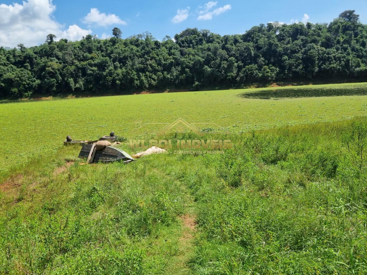 Fazenda à venda, 226m² - Foto 5