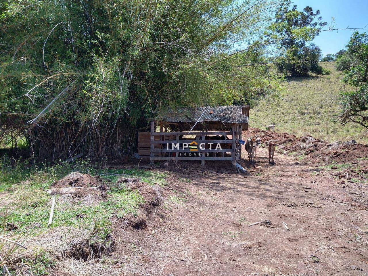 Sítio à venda com 3 quartos, 58000M2 - Foto 65