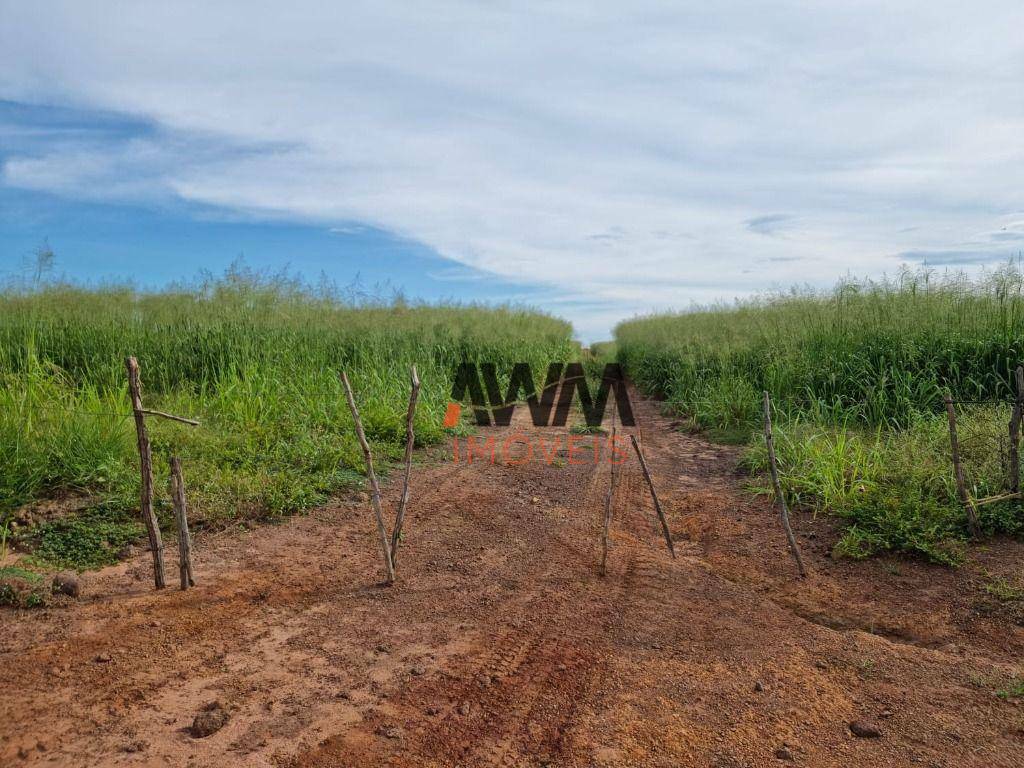 Fazenda à venda, 70000000M2 - Foto 23