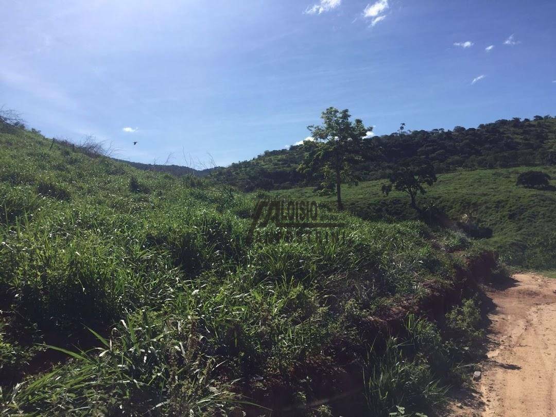 Fazenda à venda, 5469200M2 - Foto 34