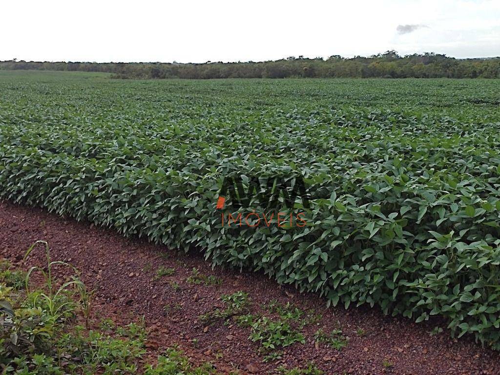 Fazenda à venda, 24829200M2 - Foto 4