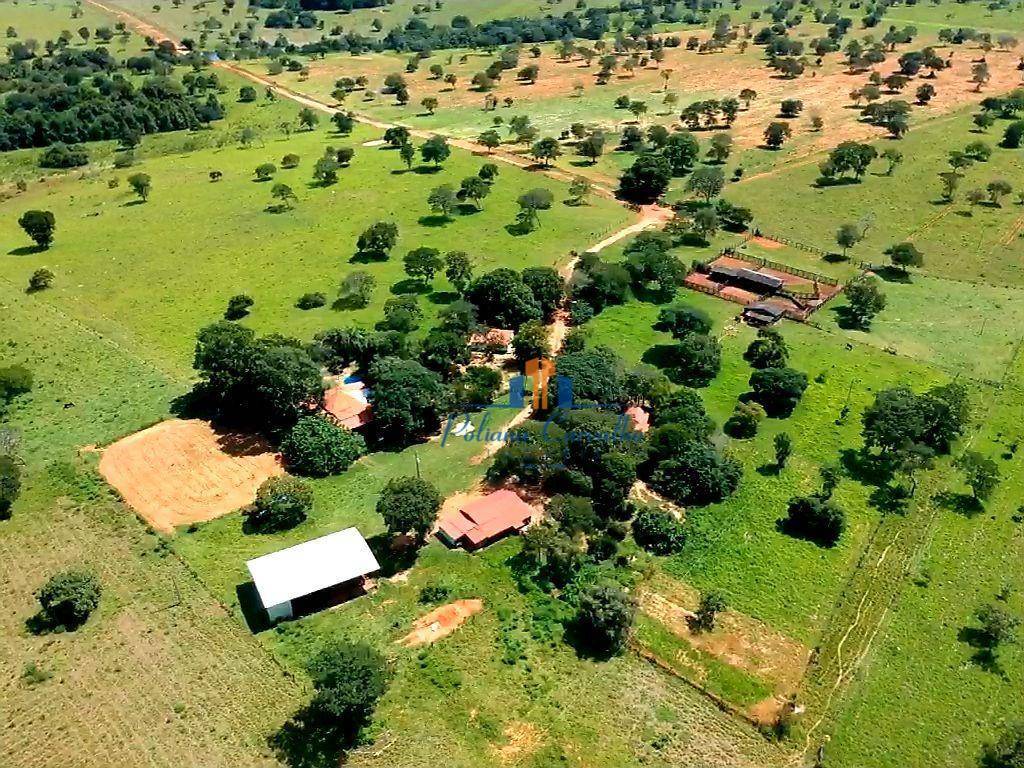 Fazenda-Sítio-Chácara, 774 hectares - Foto 1