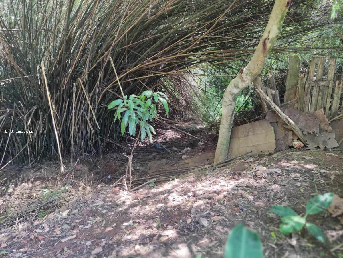 Chácara à venda com 3 quartos, 1000m² - Foto 40