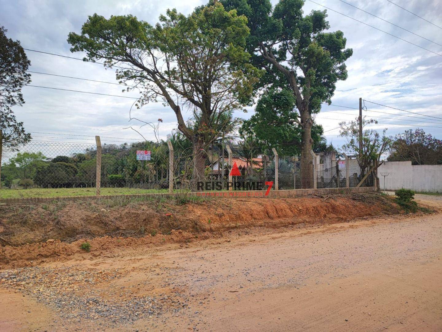 Terreno, 3 hectares - Foto 6