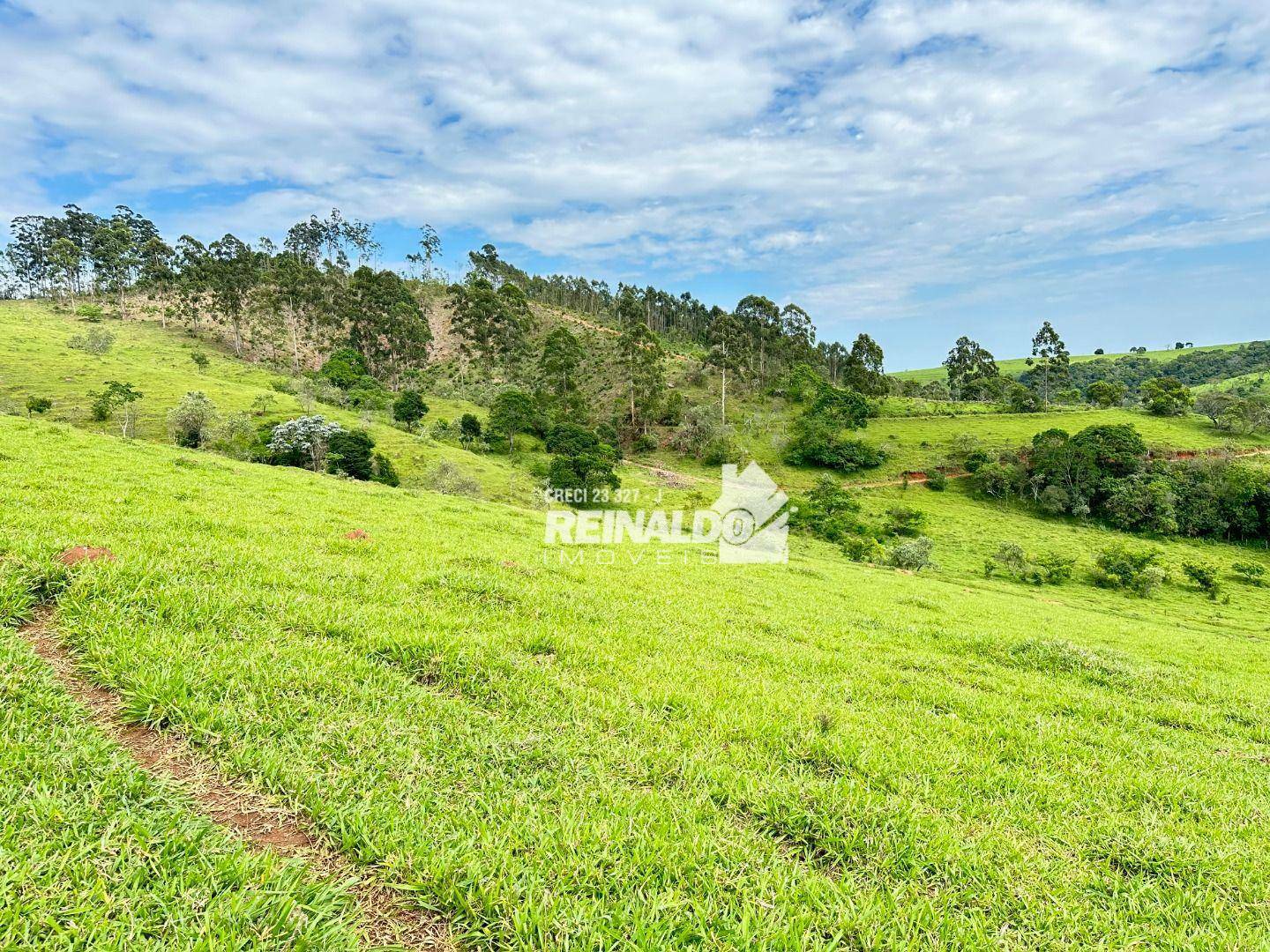 Fazenda à venda com 8 quartos, 950m² - Foto 15