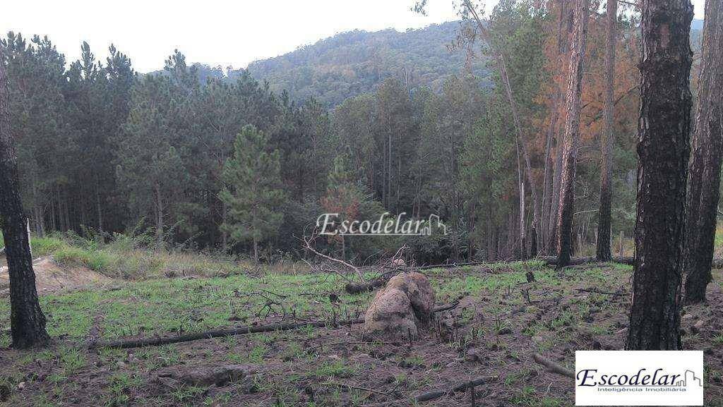 Terreno à venda, 3282M2 - Foto 4