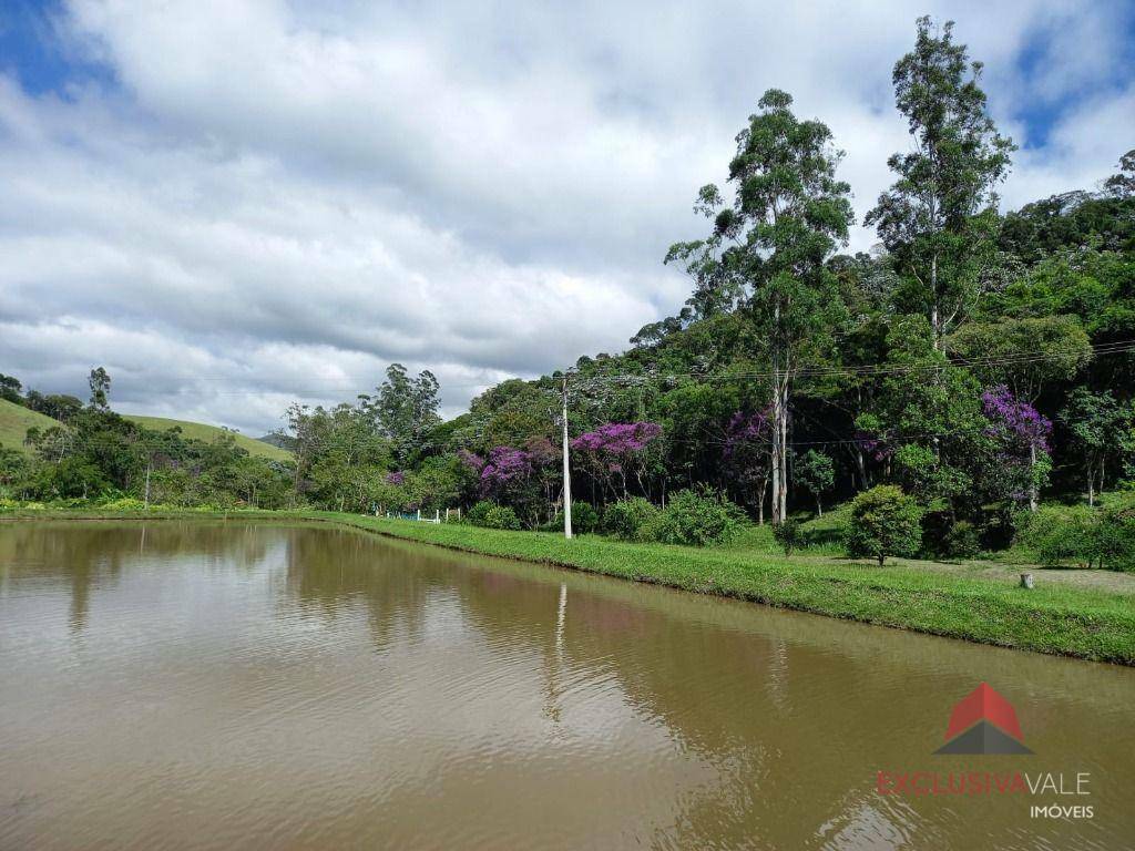 Sítio à venda com 2 quartos, 100m² - Foto 10