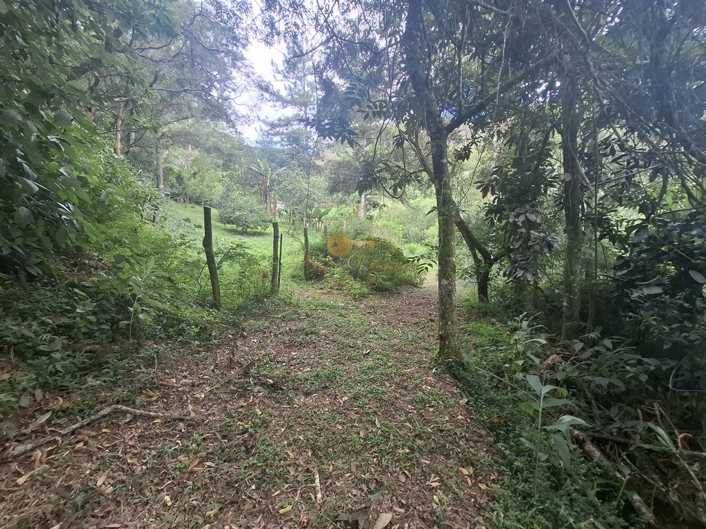 Terreno à venda, 216036m² - Foto 24