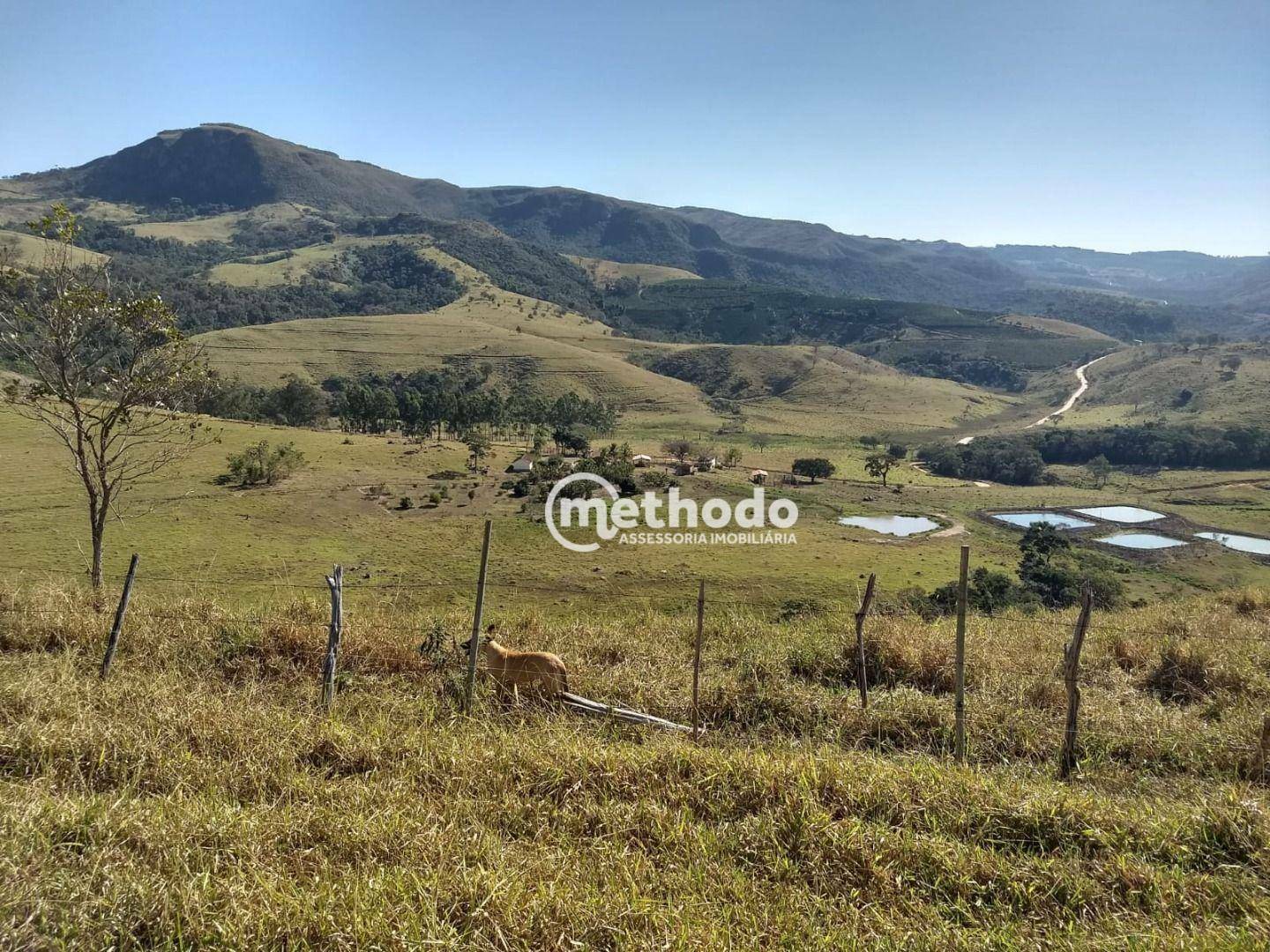 Fazenda à venda com 3 quartos, 123m² - Foto 10