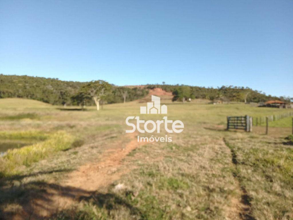 Fazenda à venda, 3242800M2 - Foto 18