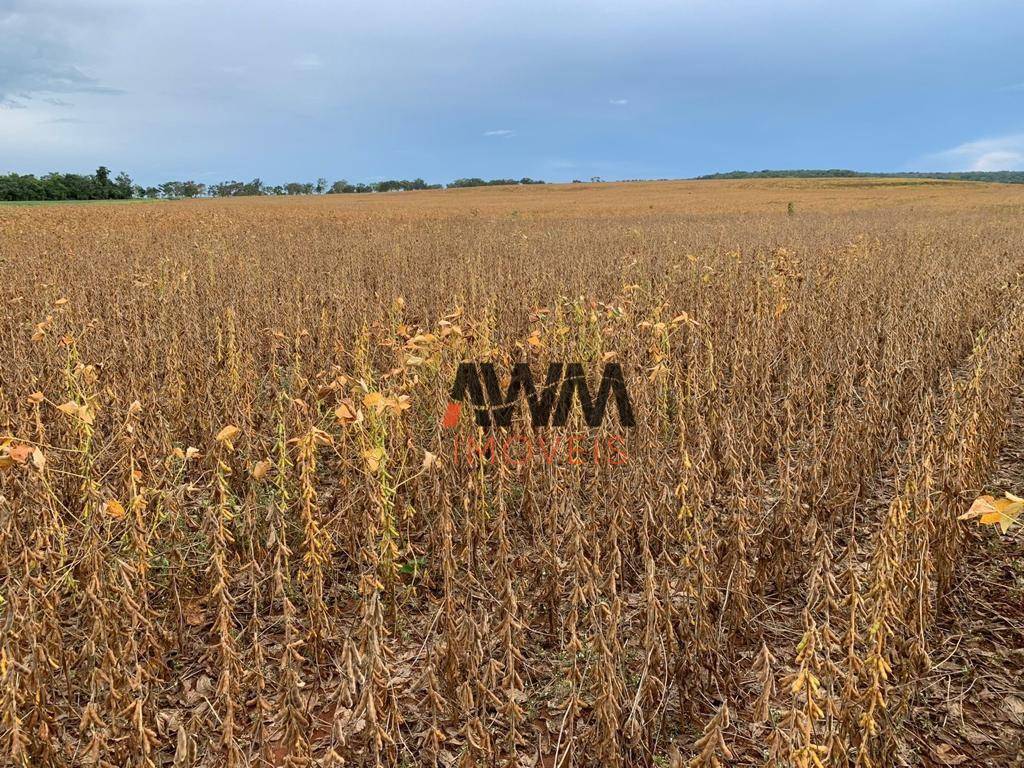 Fazenda-Sítio-Chácara, 707 hectares - Foto 10