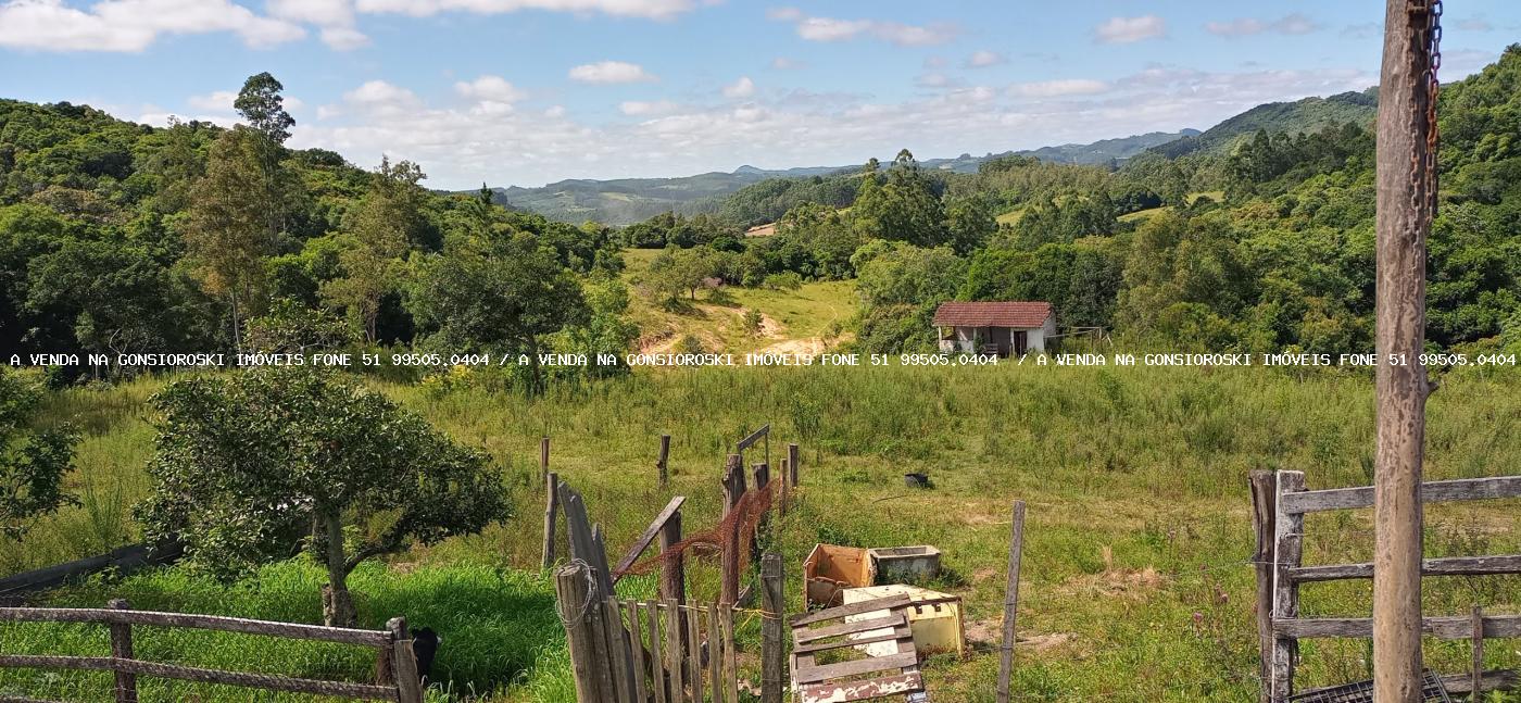 Fazenda à venda com 2 quartos, 600000m² - Foto 28