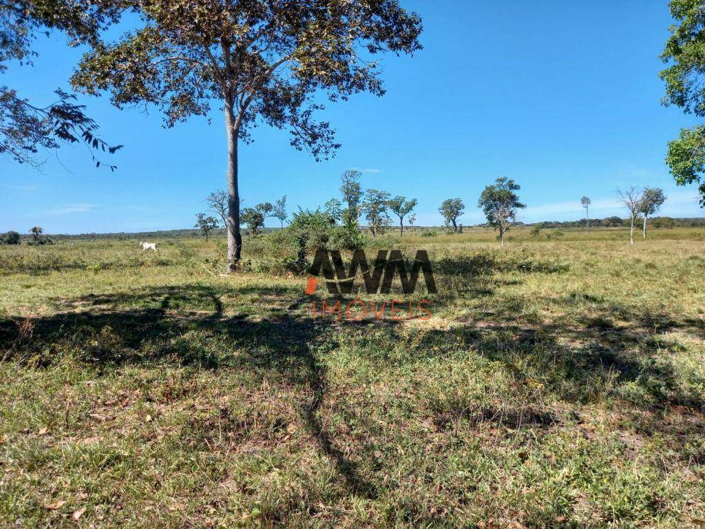 Fazenda-Sítio-Chácara, 765 hectares - Foto 5