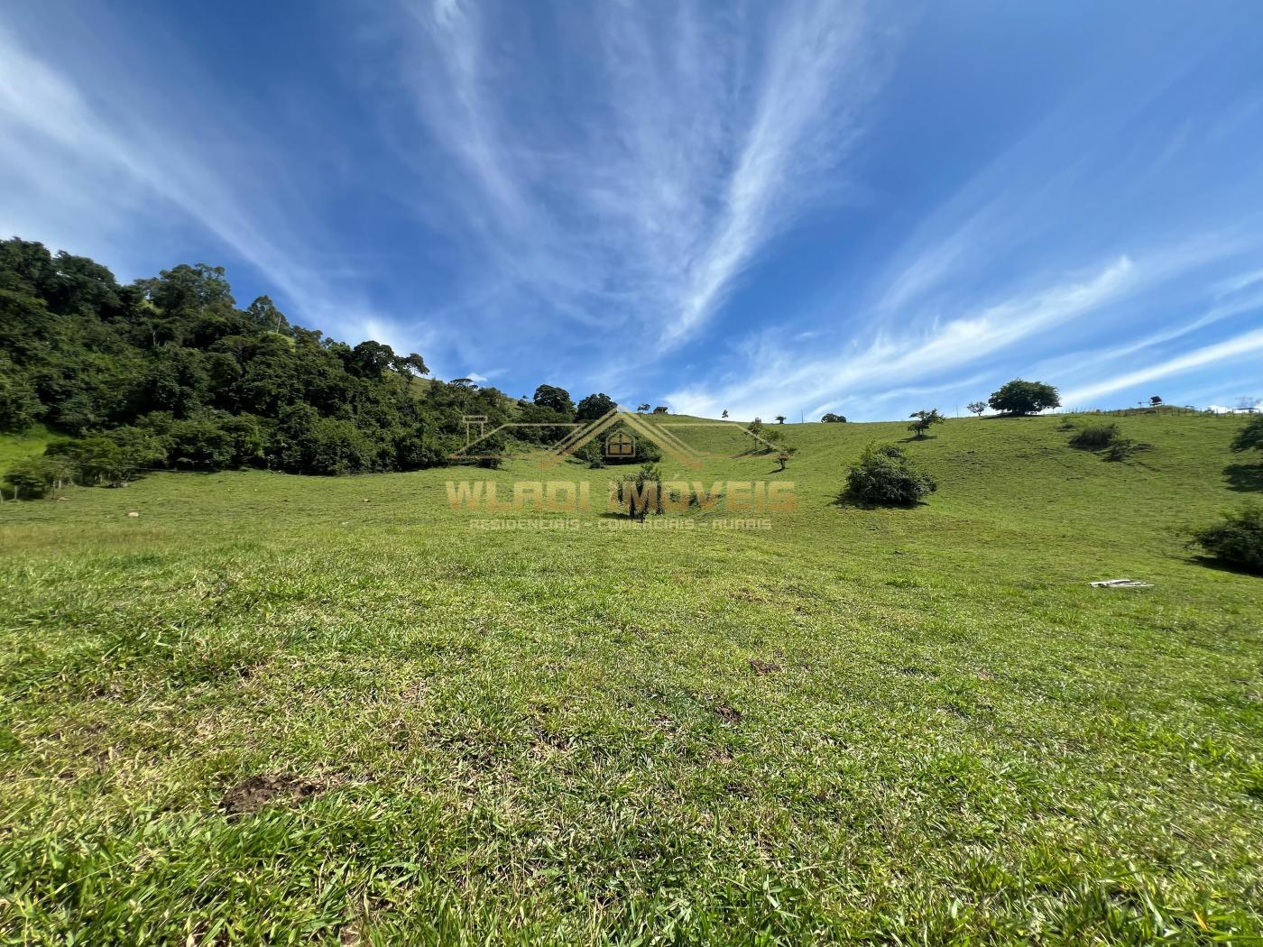 Terreno à venda, 56000m² - Foto 2