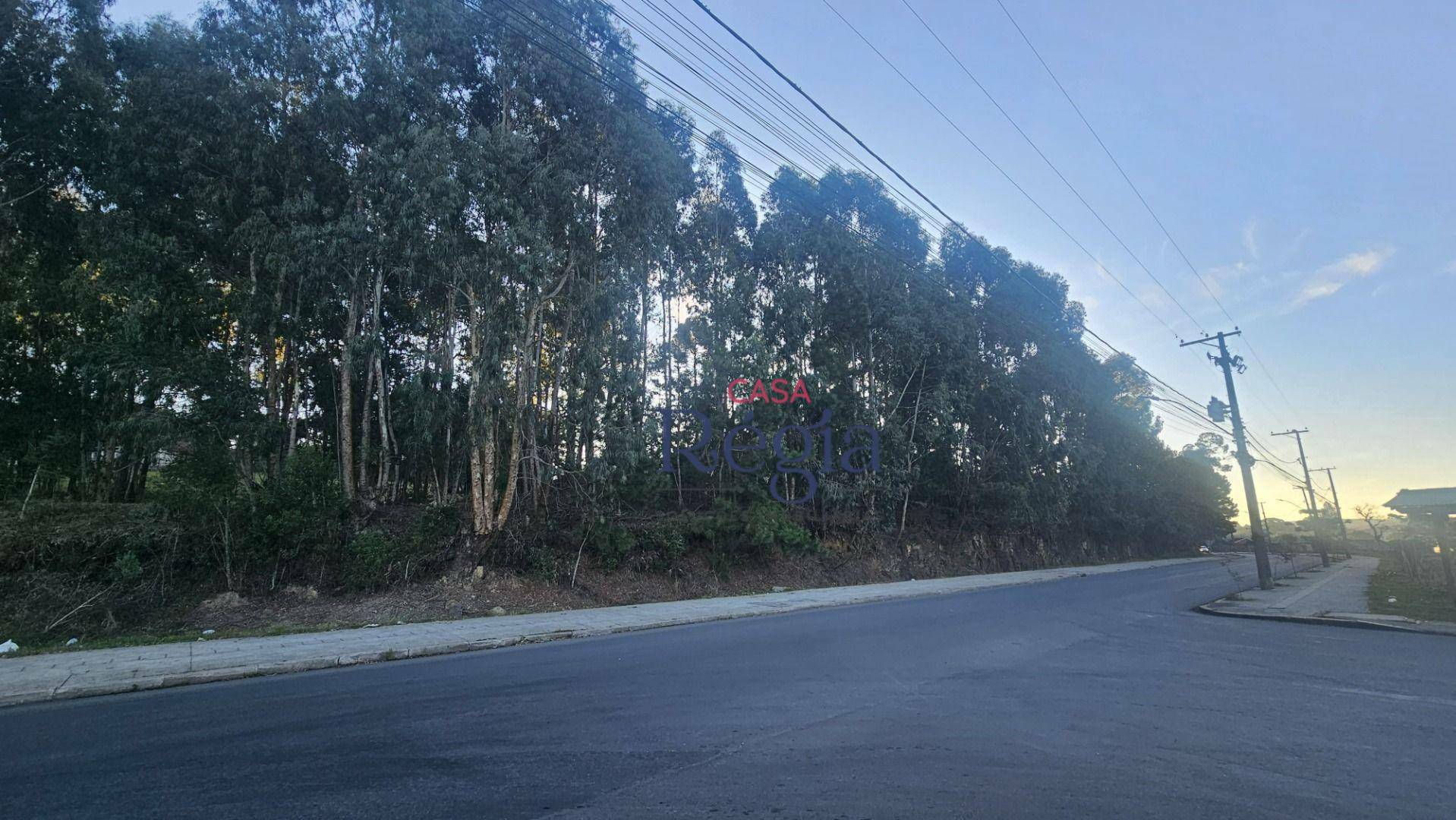 Loteamento e Condomínio à venda, 354M2 - Foto 8