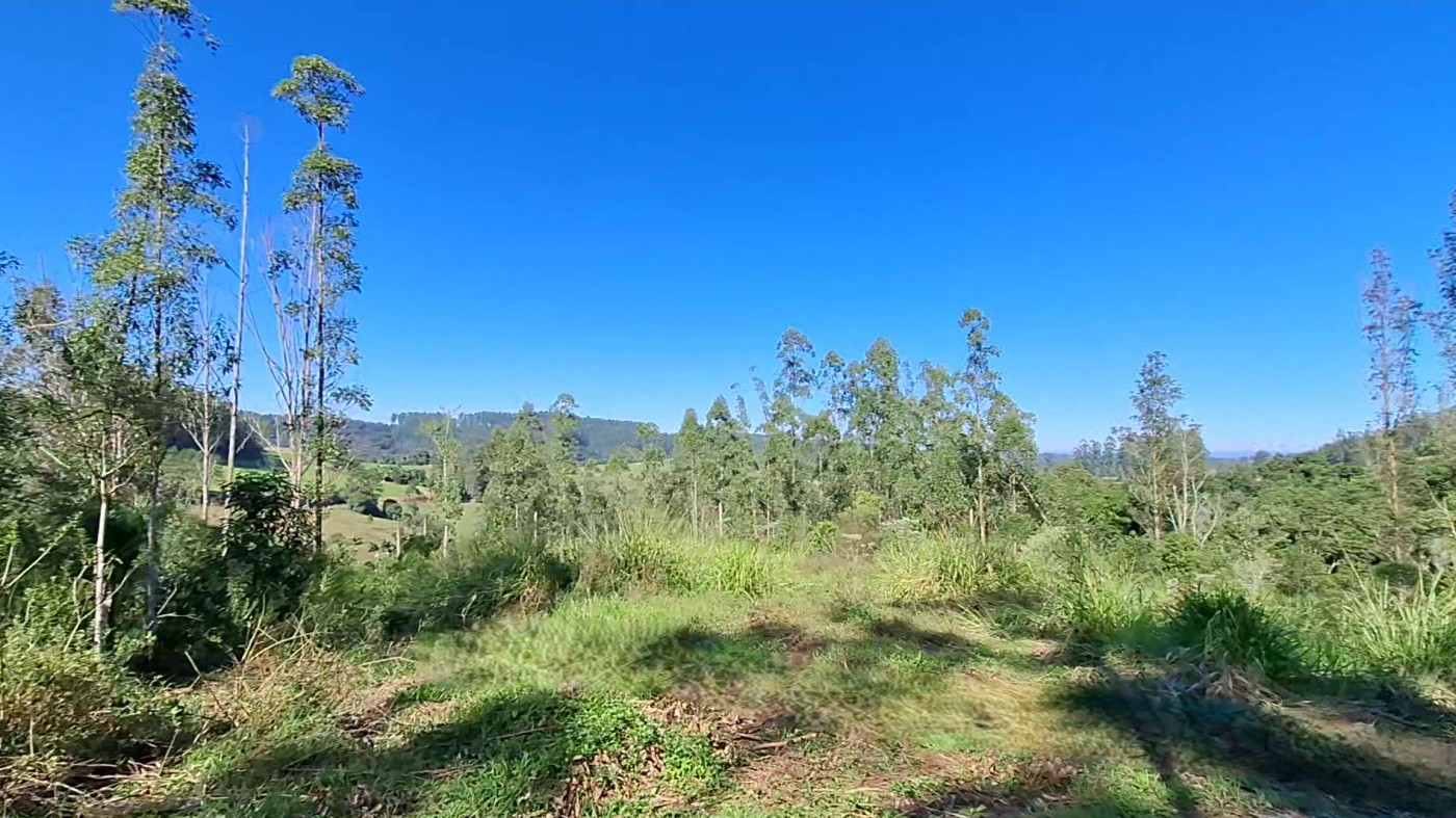 Sítio à venda com 3 quartos, 40000m² - Foto 22