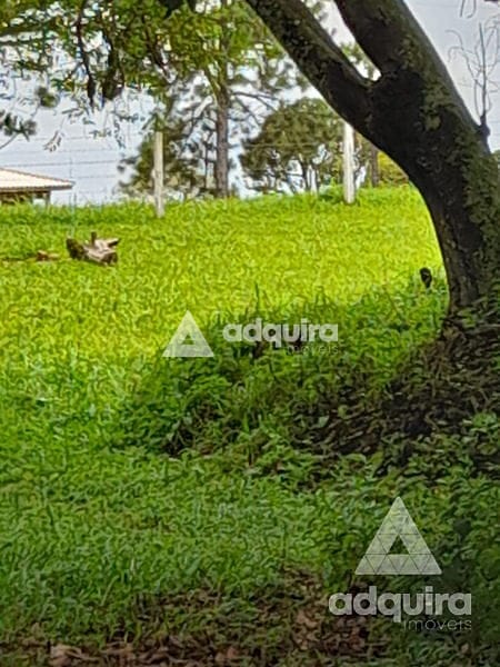 Fazenda-Sítio-Chácara, 104 hectares - Foto 4