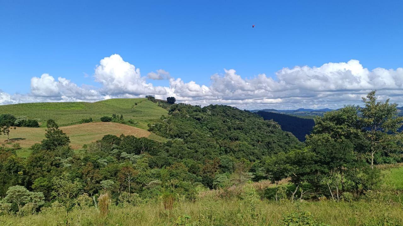 Casa à venda, 140000m² - Foto 39