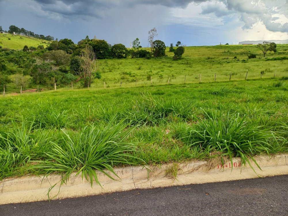 Terreno à venda, 250m² - Foto 4