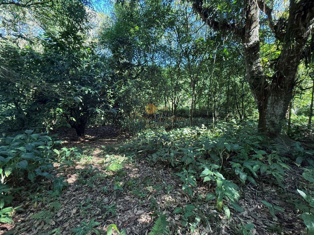 Sítio à venda, 124000m² - Foto 12