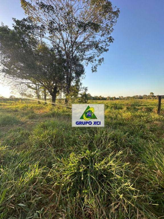 Fazenda à venda, 10120000M2 - Foto 25