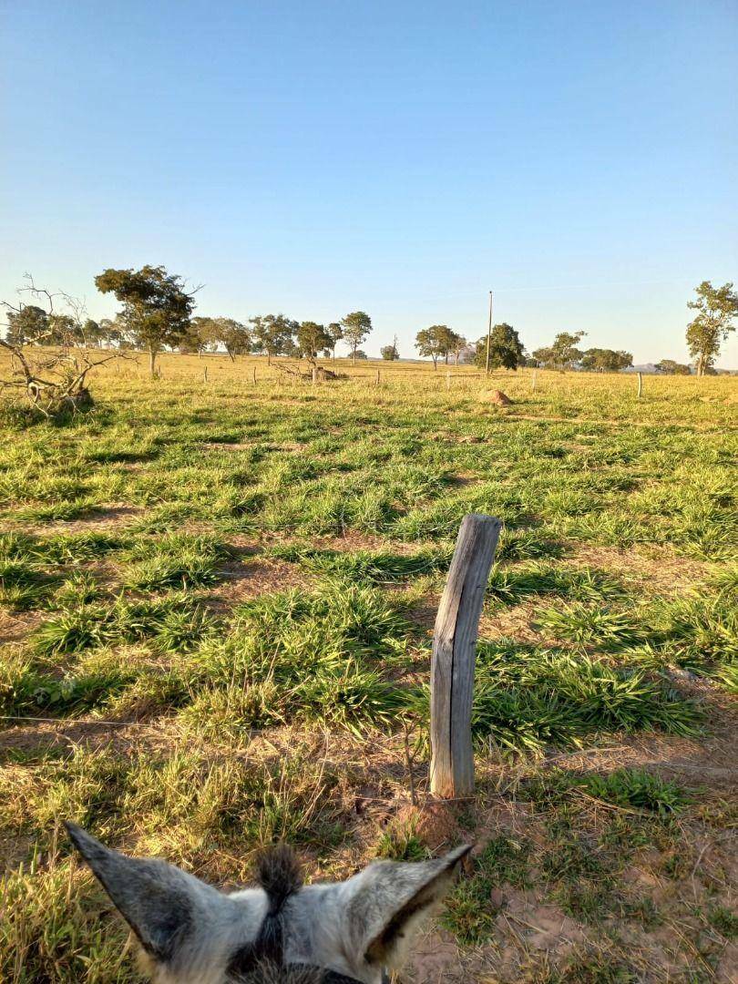 Fazenda à venda, 9970000M2 - Foto 16