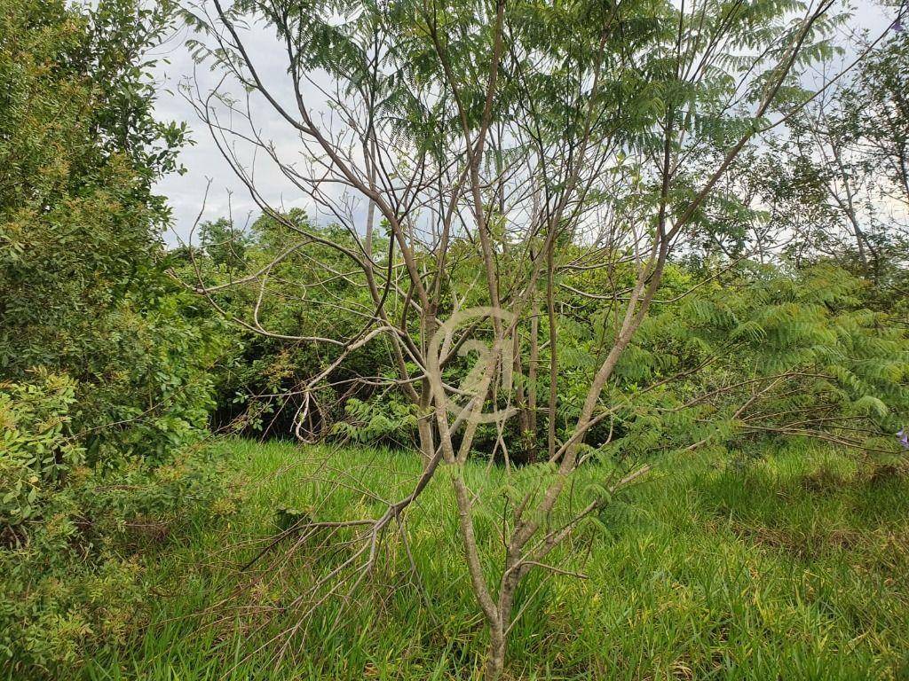 Loteamento e Condomínio à venda, 300M2 - Foto 5